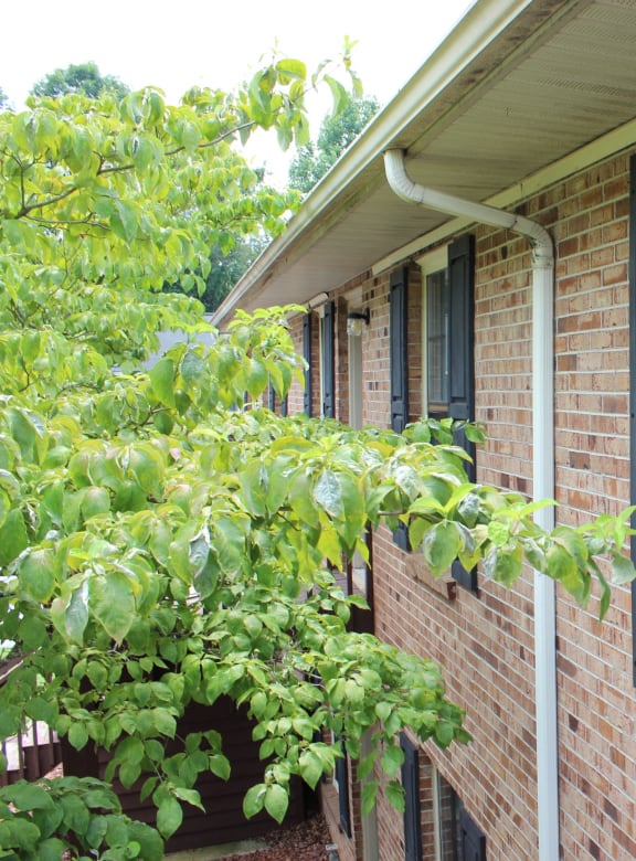 Linville Ridge Apartments Apartments in WinstonSalem, NC